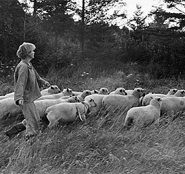 [ane vedel]